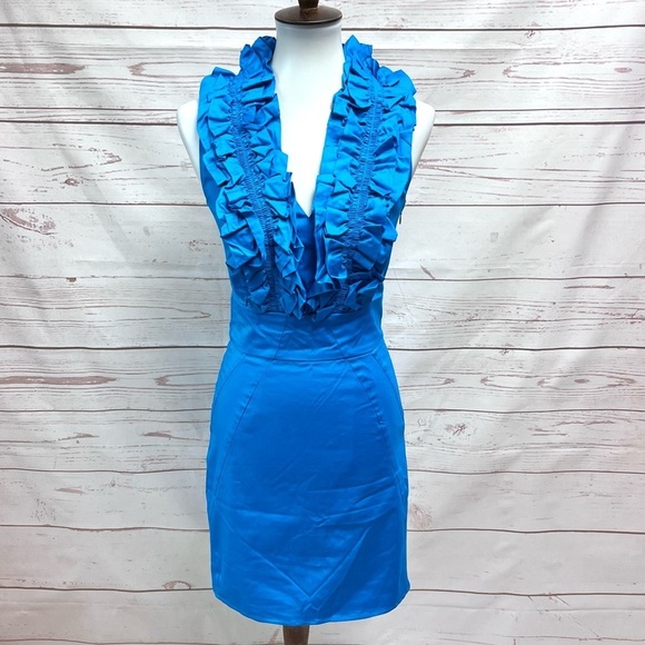 Ted Baker Dresses & Skirts - Ted Baker Blue Ruffle Dress